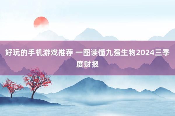 好玩的手机游戏推荐 一图读懂九强生物2024三季度财报