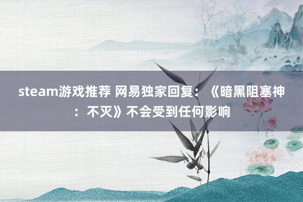 steam游戏推荐 网易独家回复：《暗黑阻塞神：不灭》不会受到任何影响