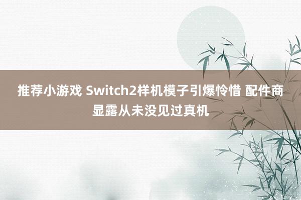 推荐小游戏 Switch2样机模子引爆怜惜 配件商显露从未没见过真机